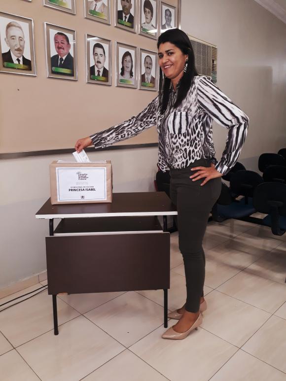 Votação do Conselho de Cultura Biênio 2018/2020